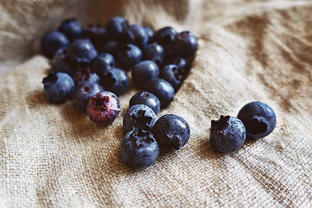 Fresh blueberries neatly arranged on a cloth