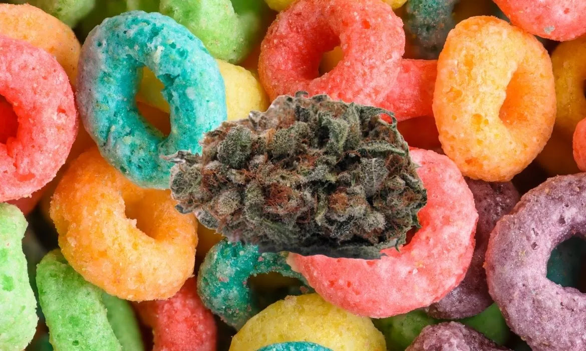 Fruit Loops Strain