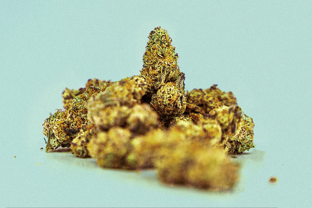 Some yellow weed strain placed on a light-colored surface