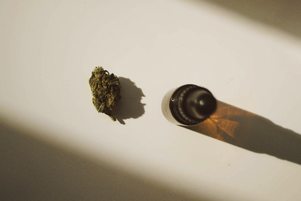 Cannabis weeds and hemp oil in a tincture placed on a white surface
