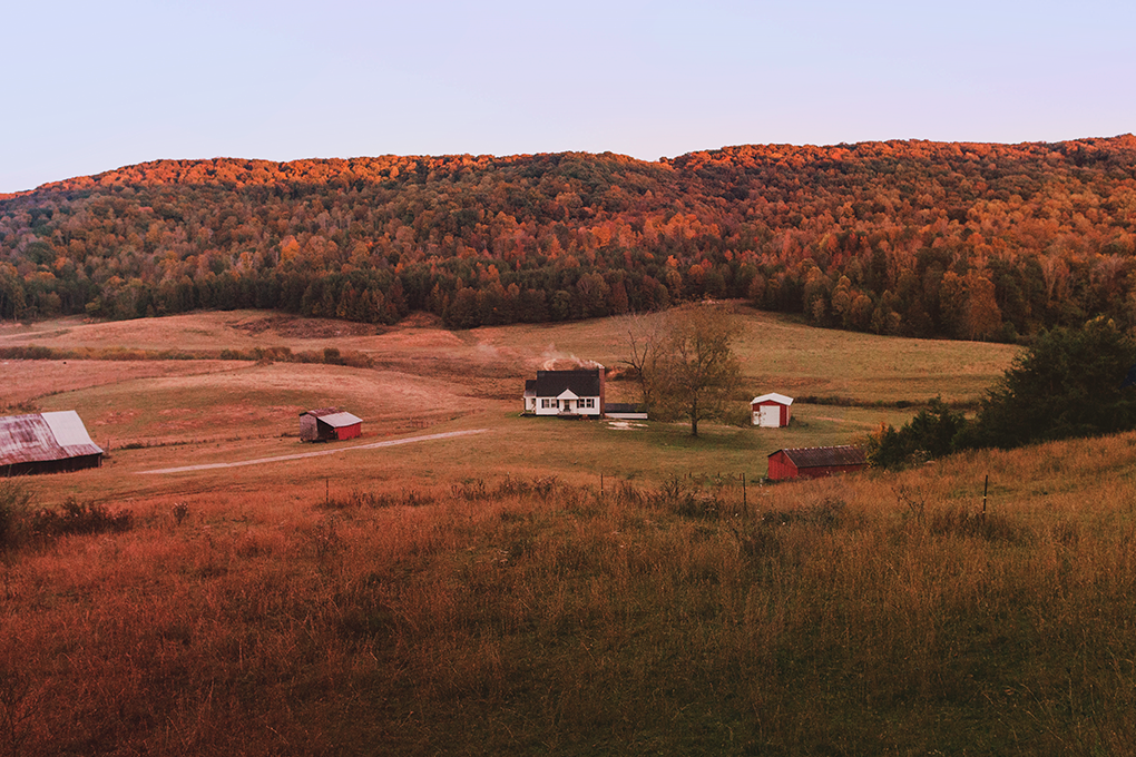 Scenic Tennessee field with quaint houses, farms, and a lush tree-covered jungle in the background