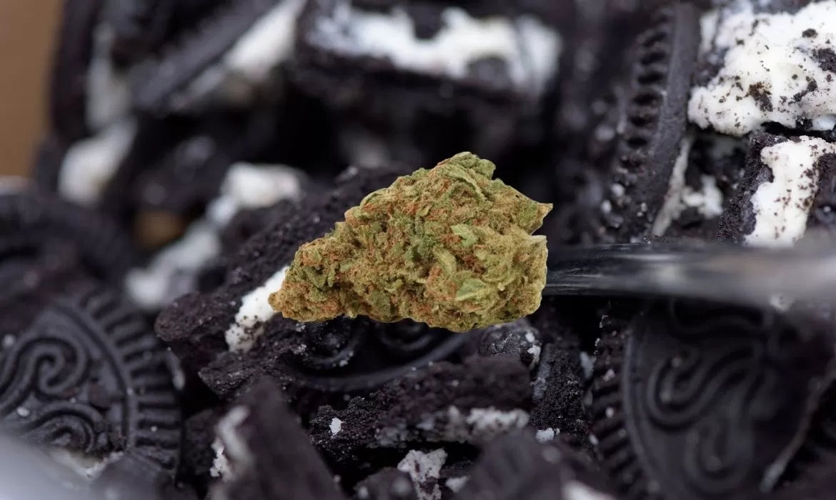 Oreo Cookies strain