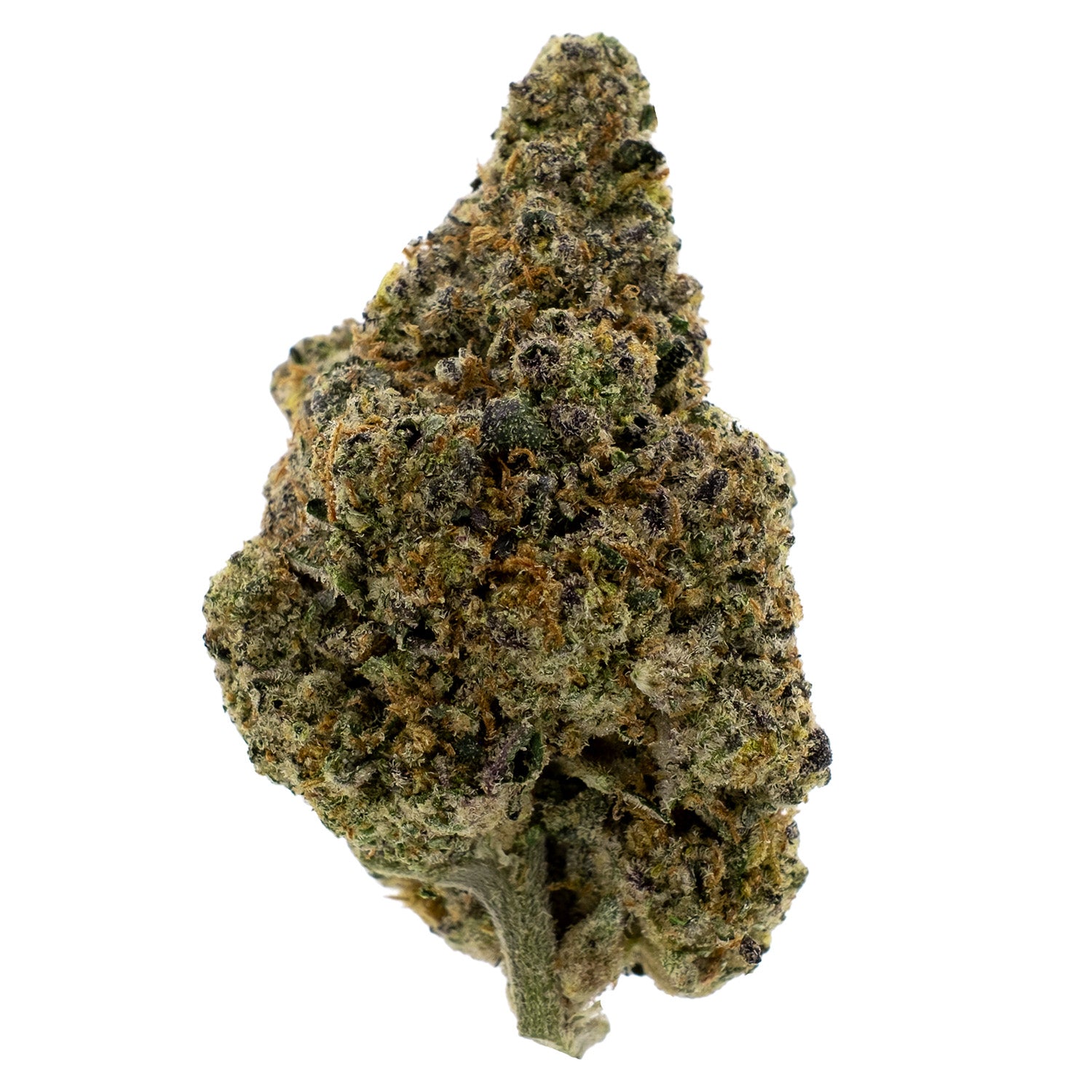 Apple Scotti THCA