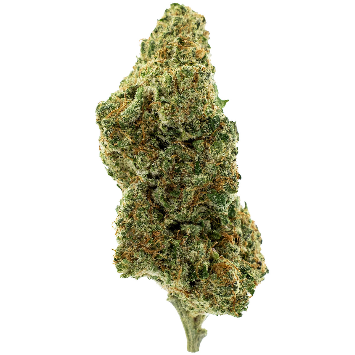 Black Cherry Gelato THCA