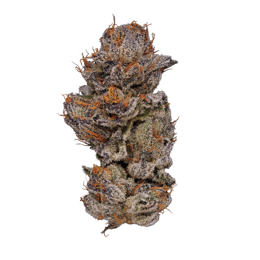 Pablo's Revenge THCA