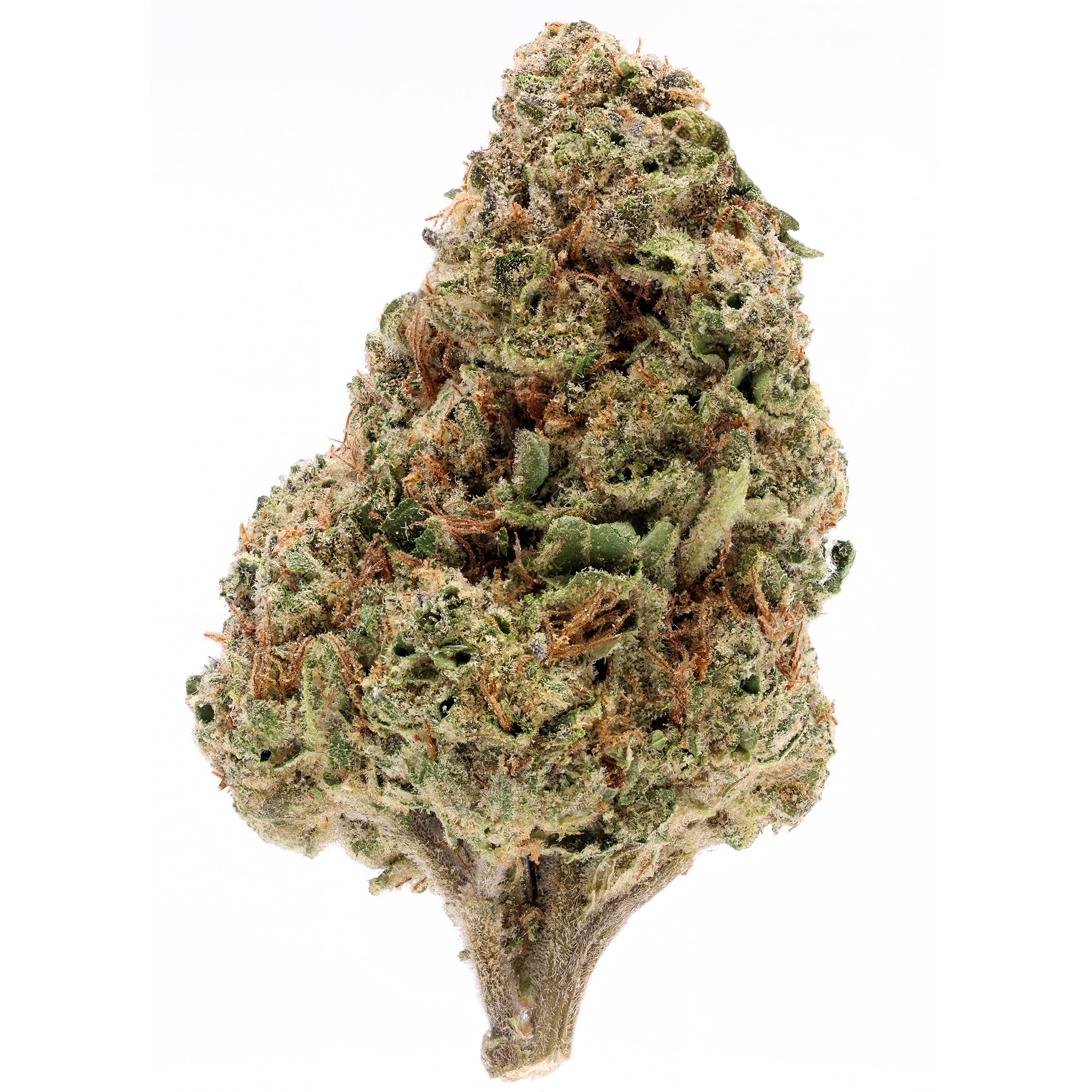 Jelly Donut THCA