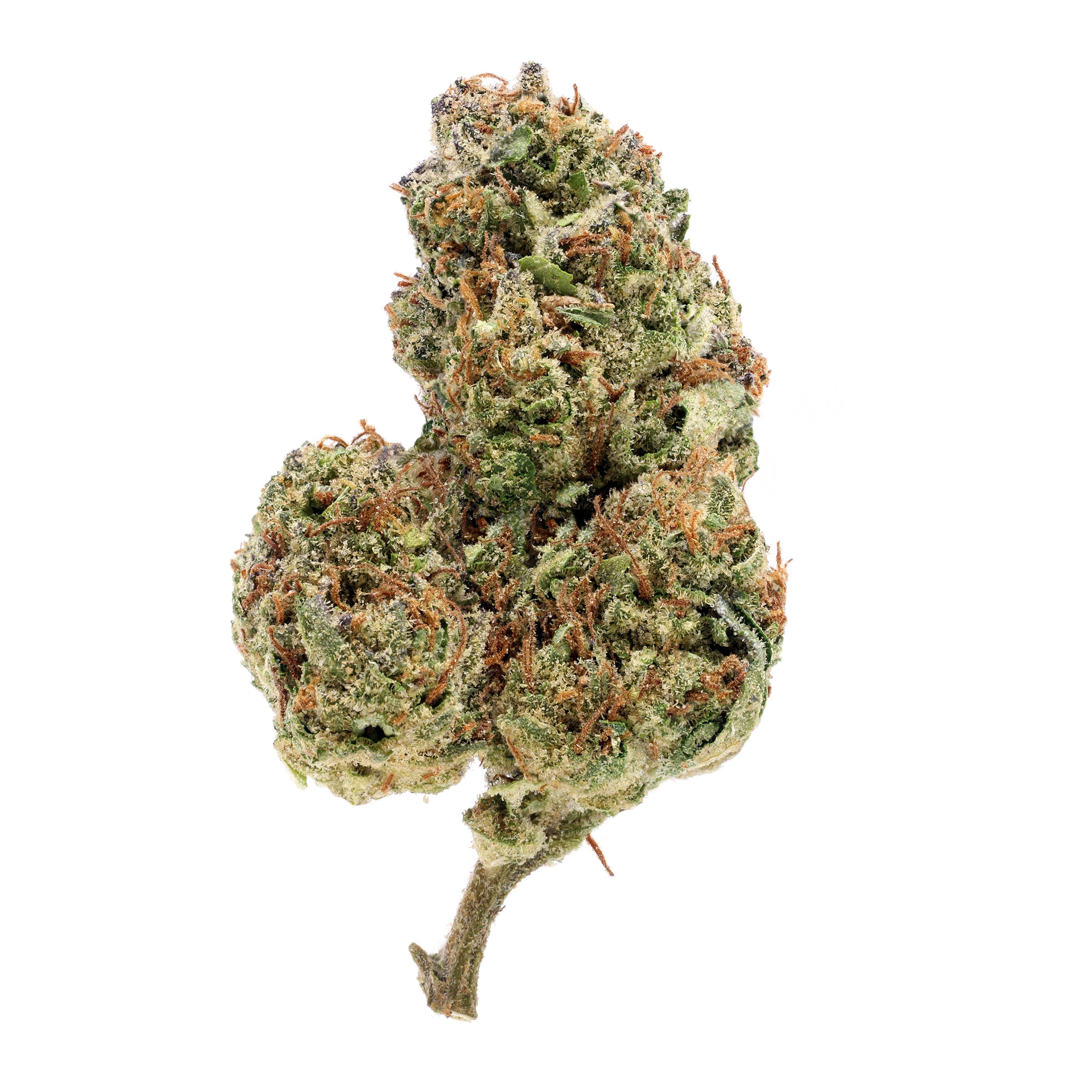 Cookies & Cream THCA