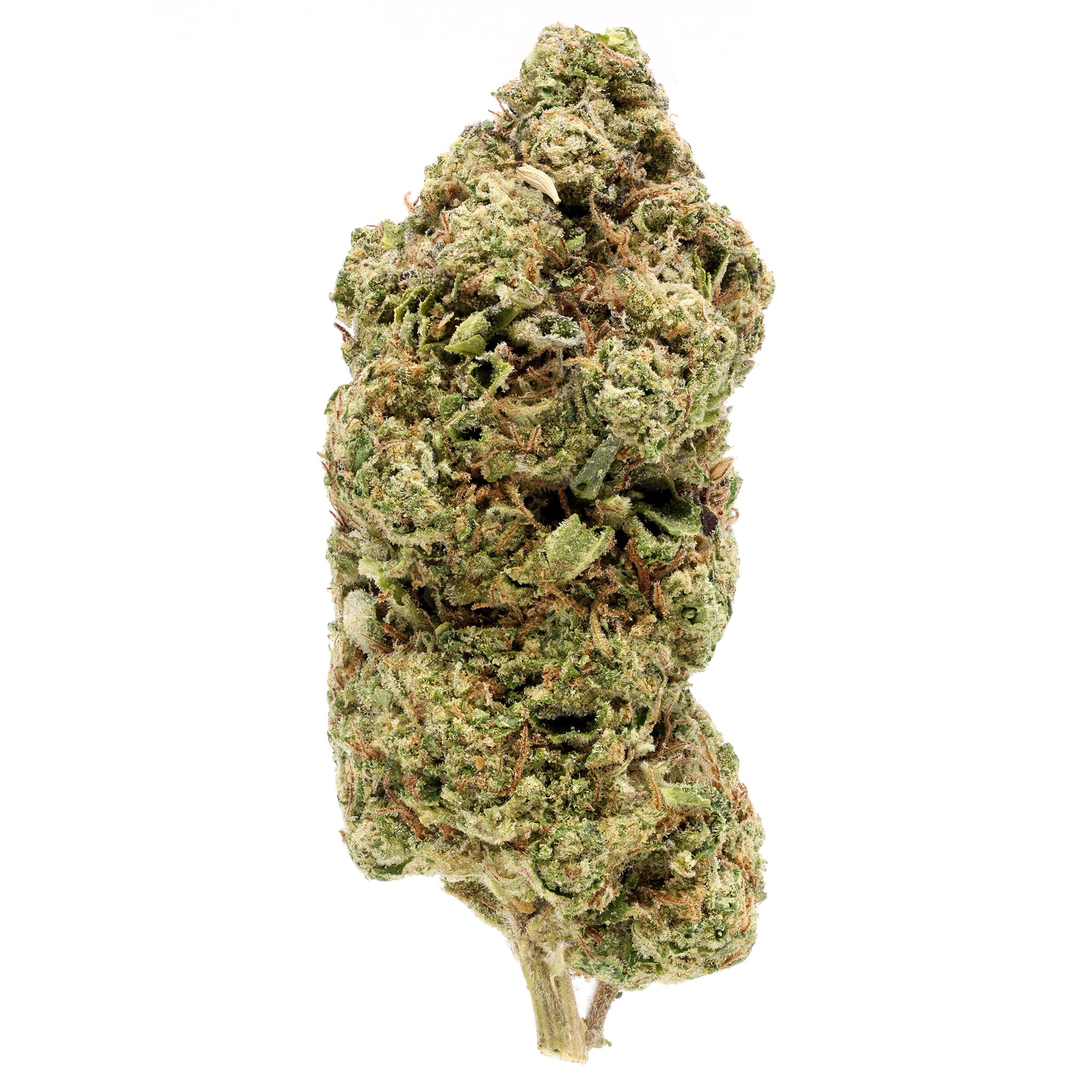 Pink Runtz THCA | Botany Farms