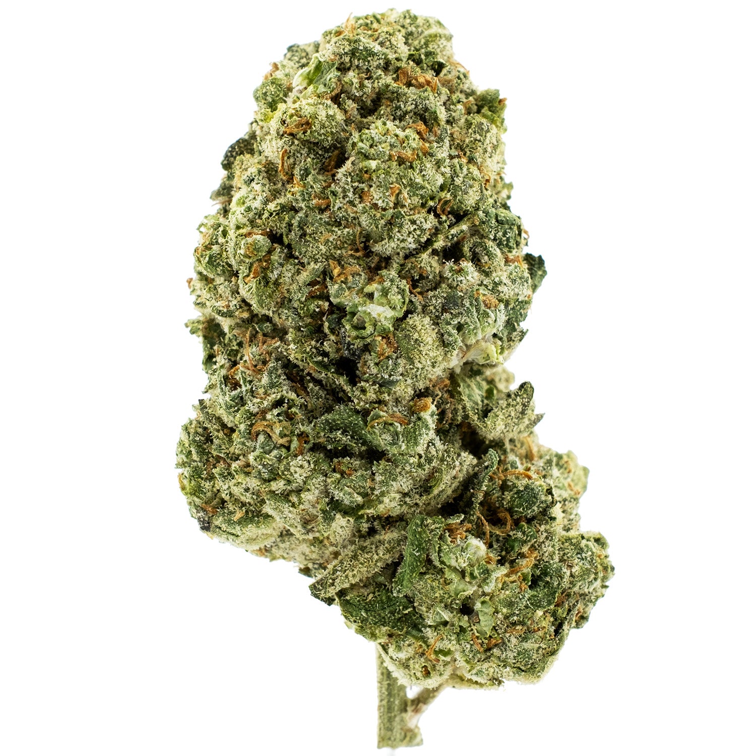 Platinum Lemon Gelato THCA