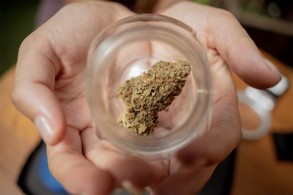 A hand holding a transparent bowl with marijuana inside it