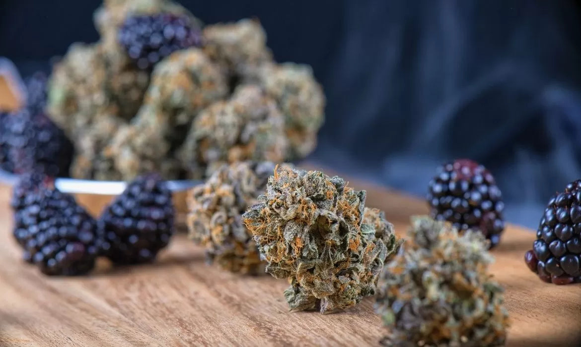 Berry cannabis buds with blackberries