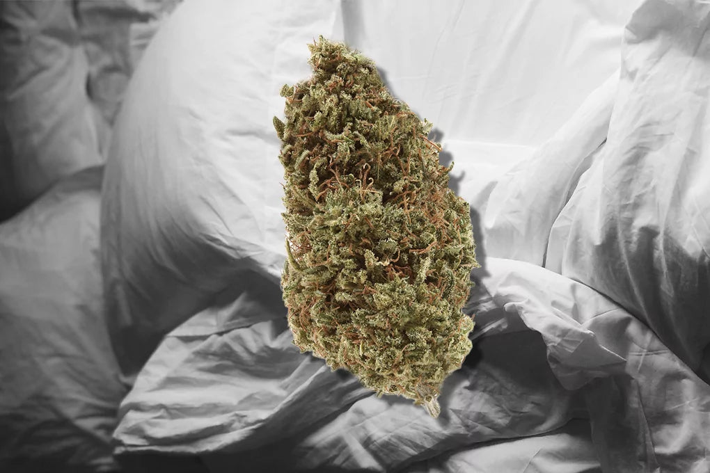 A bud of delta 8 cannabis floats above a sleepy backdrop of white pillows.