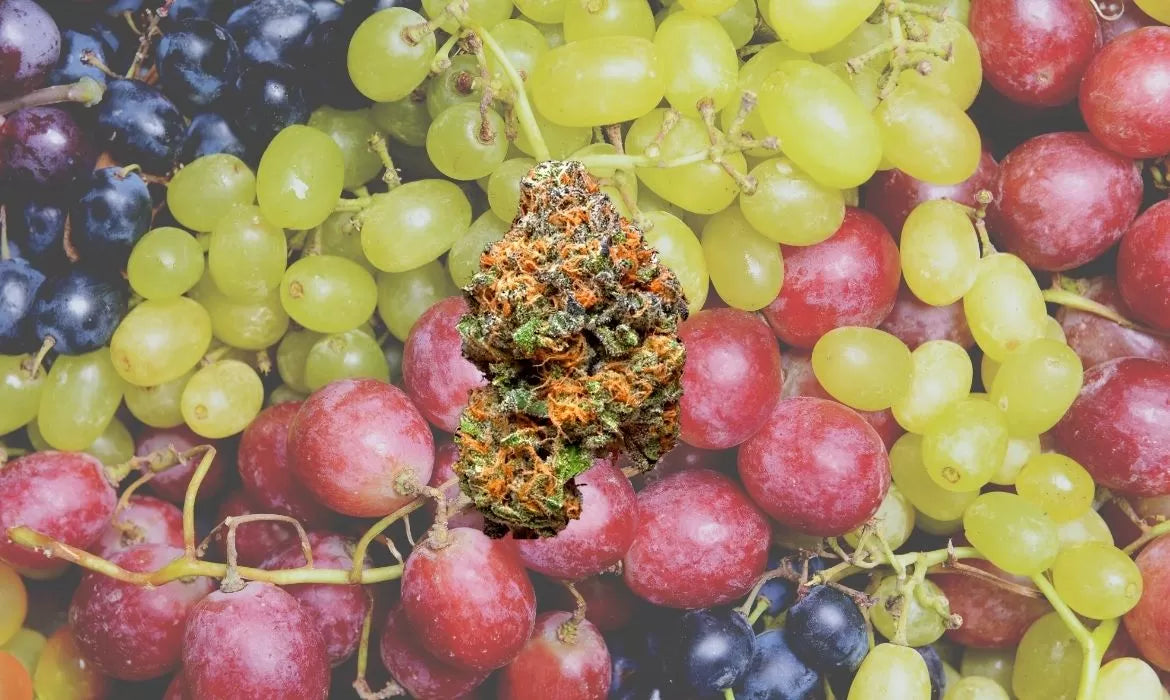 Best Grape Strains