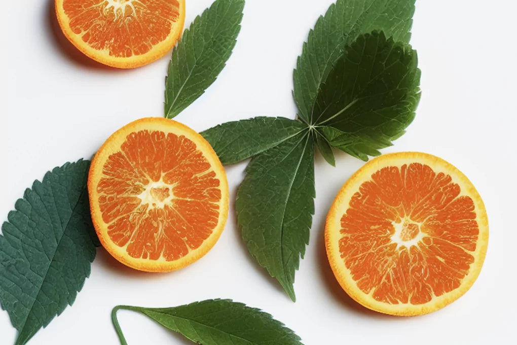 Round sliced oranges are strewn across a white background with orange leaves between them.