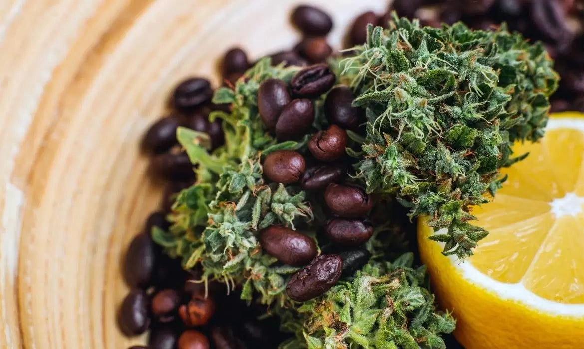 coffee beans, lemons and cannabis together in a bowl, all rich in flavonoids.