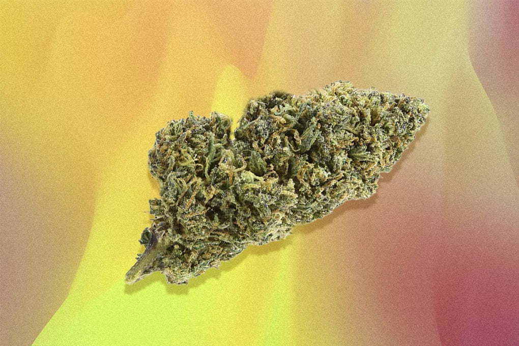 A nugget of butterstuff strain hovers against a yellow and red background