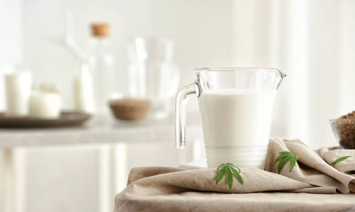 CBD milk recipe