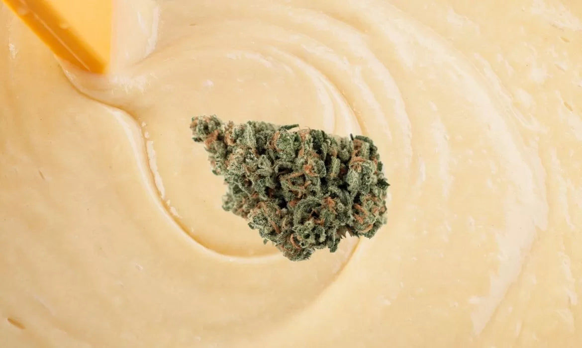 Cake Batter strain bud