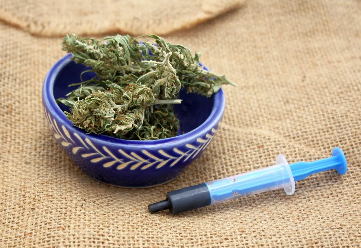 RSO oil next to some cannabis buds
