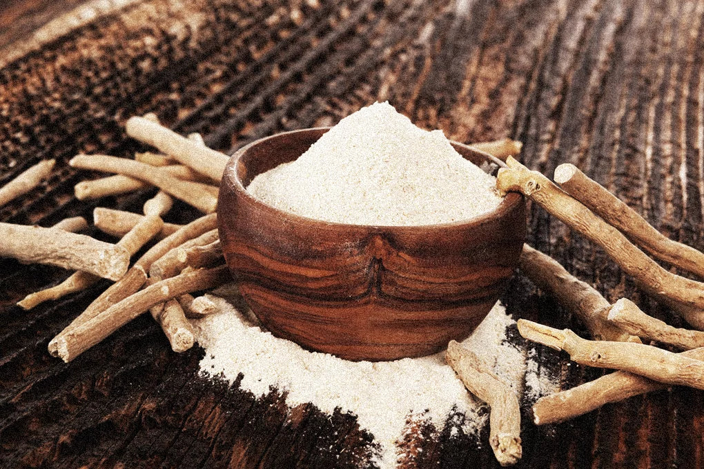 A wooden bowl overflowing with ground white powdered Ashwagandha sits among unground Ashwagandha twigs.