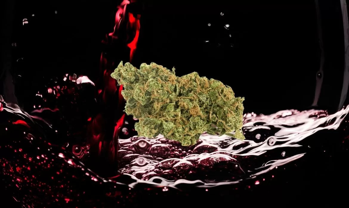 Cherry Wine hemp strain