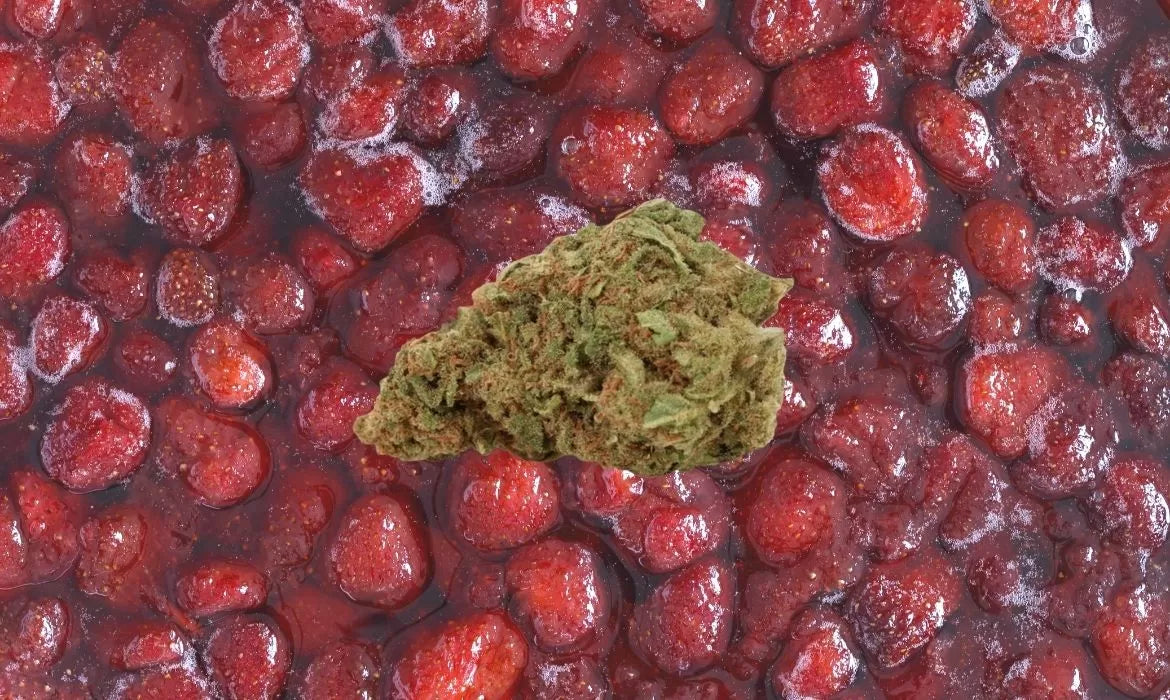 Crushed Berry strain