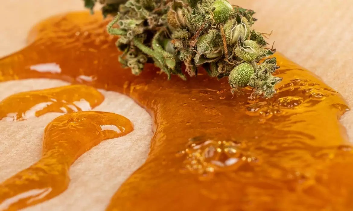 A cannabis nug sits on top of a golden dollop if dab reclaim resin
