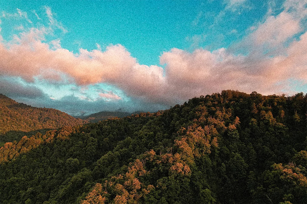An aerial view of mountains in Georgia at dusk.