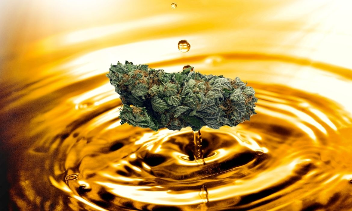 Diesel Moonshine strain