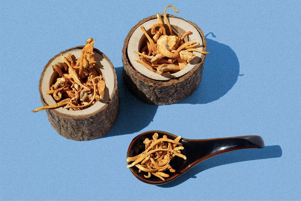 two bowls and a spoon full of cordyceps sit on a light blue surface.
