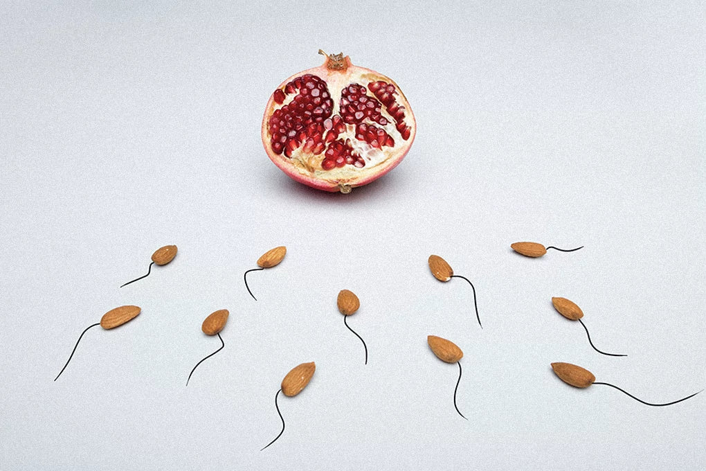 Almonds shaped like sperm race their way toward a pomegranate that's meant to represent an egg.