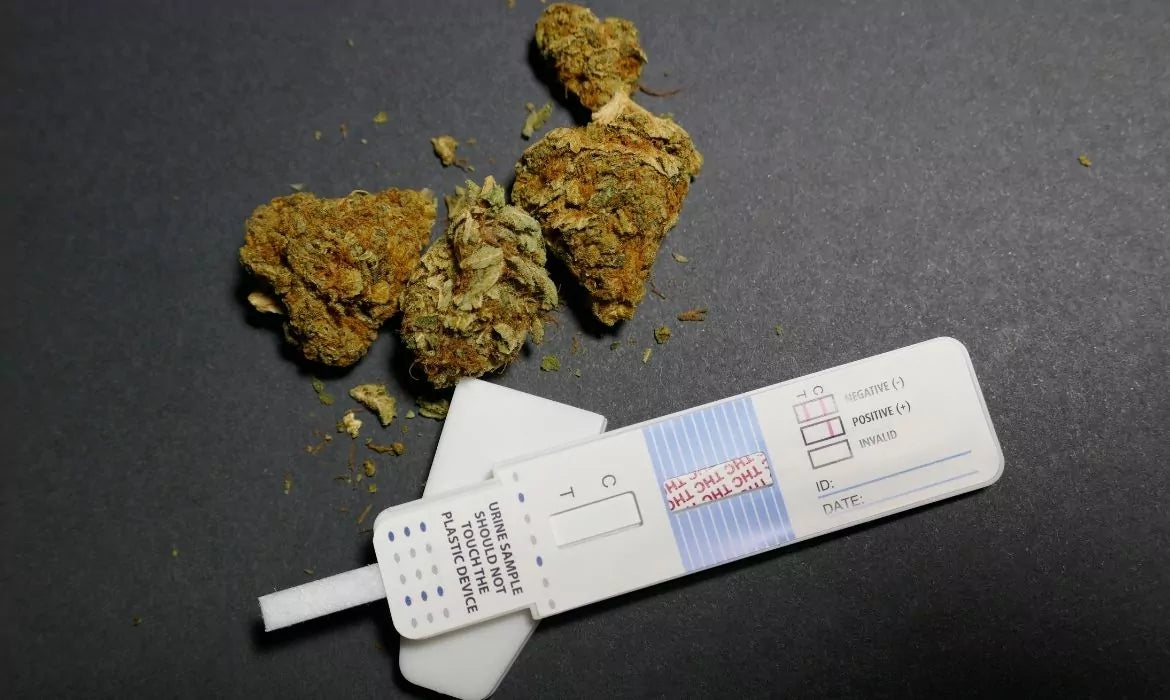 Cannabis buds lying next to a drug test