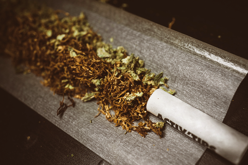 Some marijuana buds scattered on a rolling paper, with a joint being skillfully rolled up