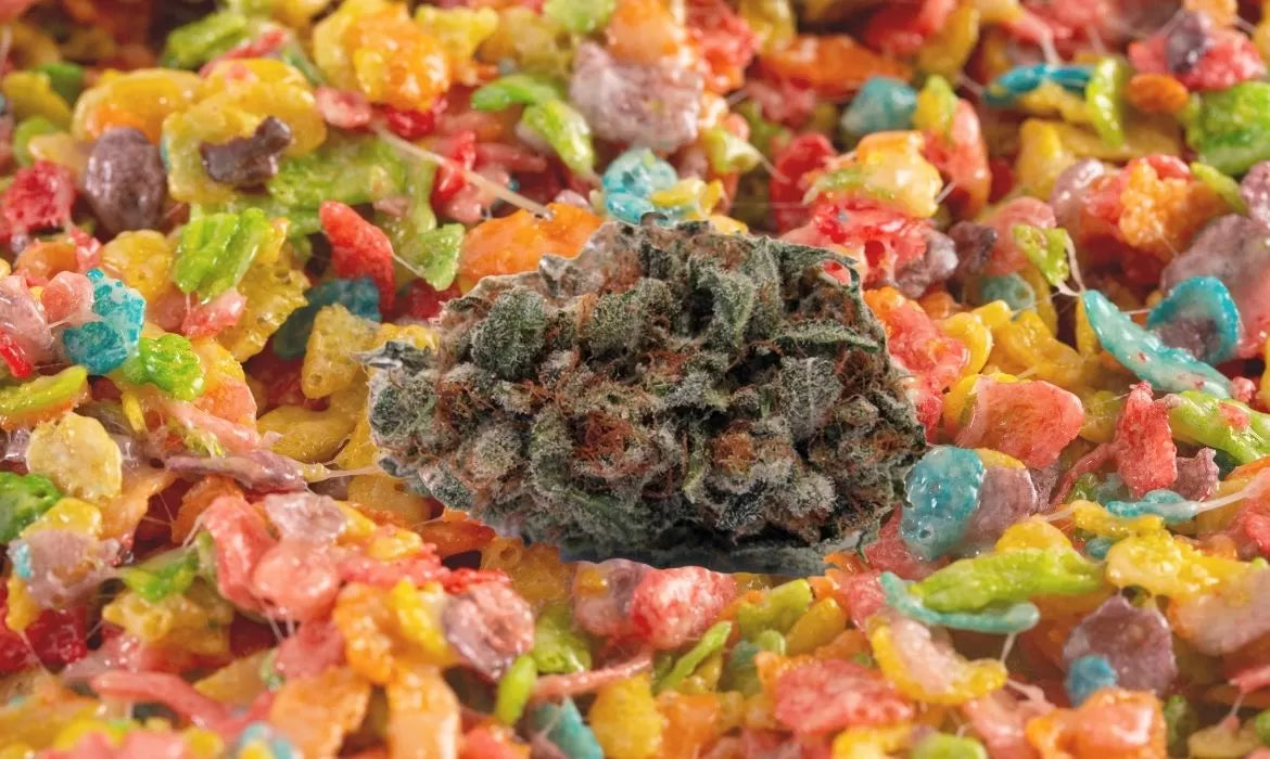 FPOG strain bud