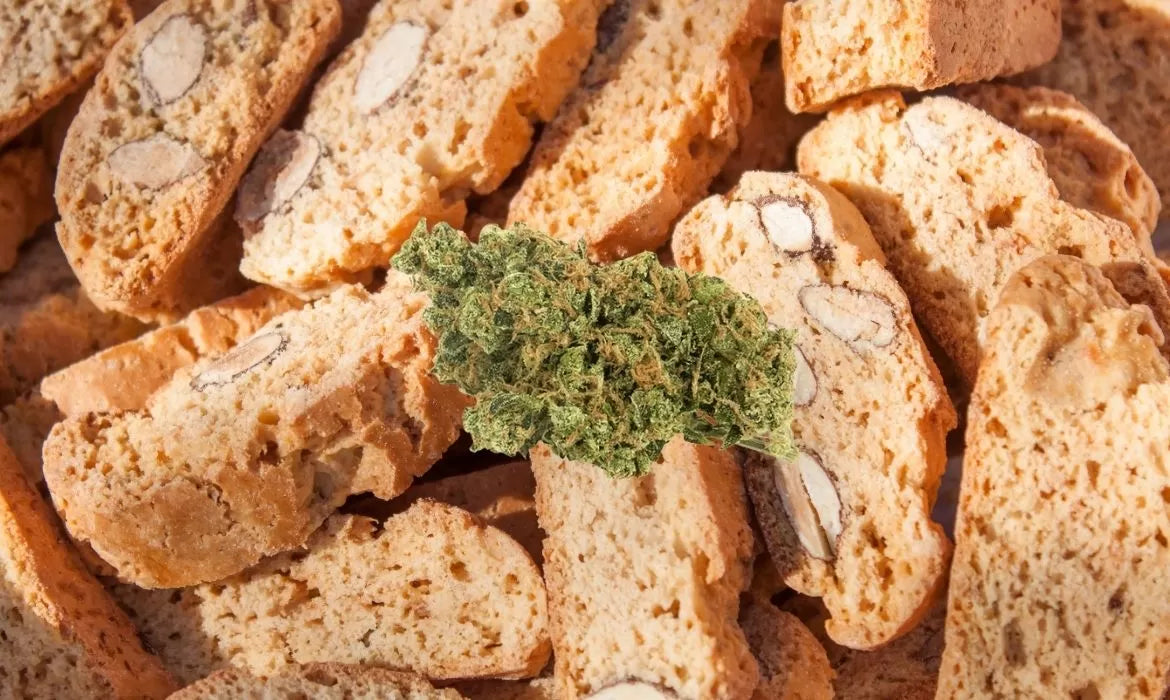 Gelatti strain bud