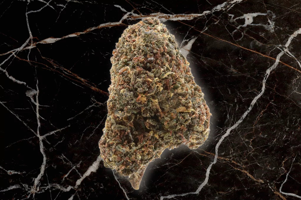 A nug of Godfather OG strain floats in front of a black marble background.