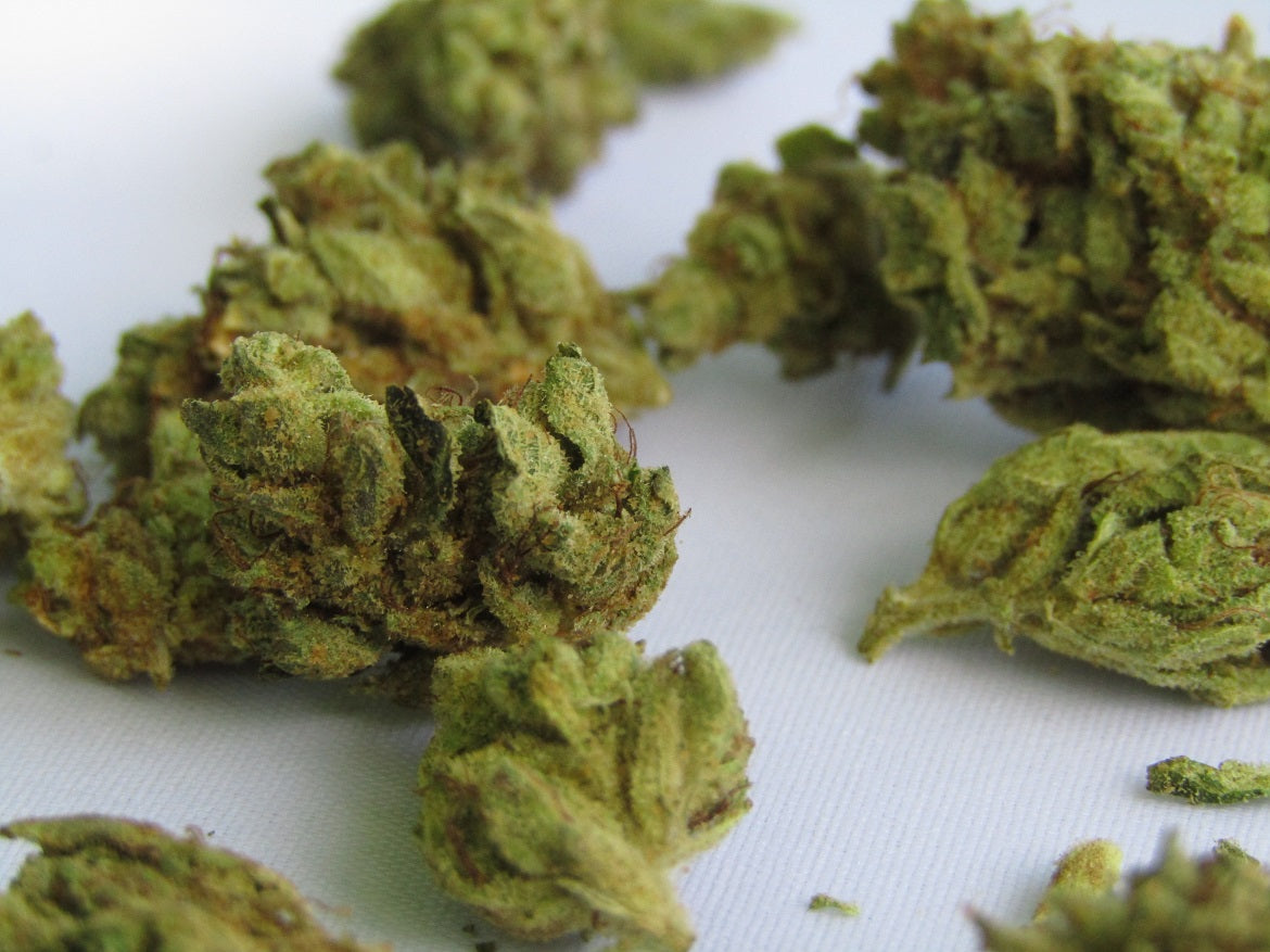 Golden Goat strain buds