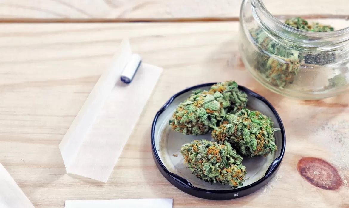 Grand Master Kush Strain