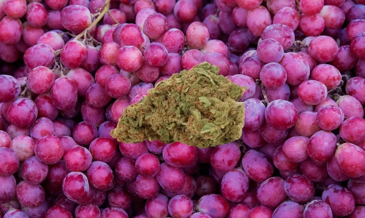 Grape Cheese strain