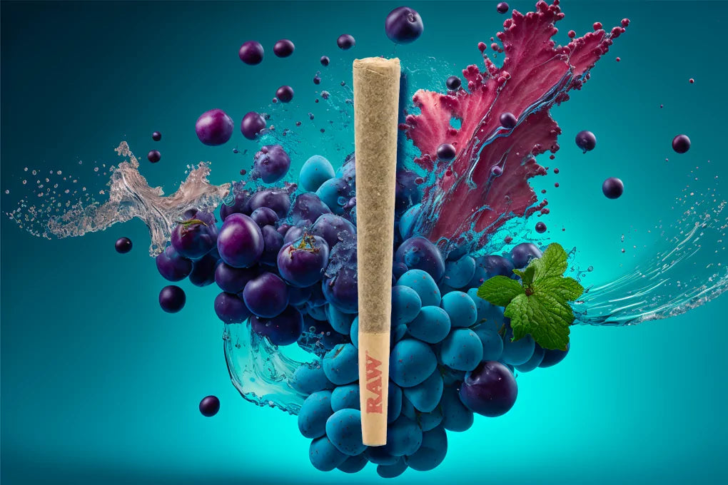 A pre-roll joint surrounded by whole and smashed bluish grapes backdropped by a bluish background
