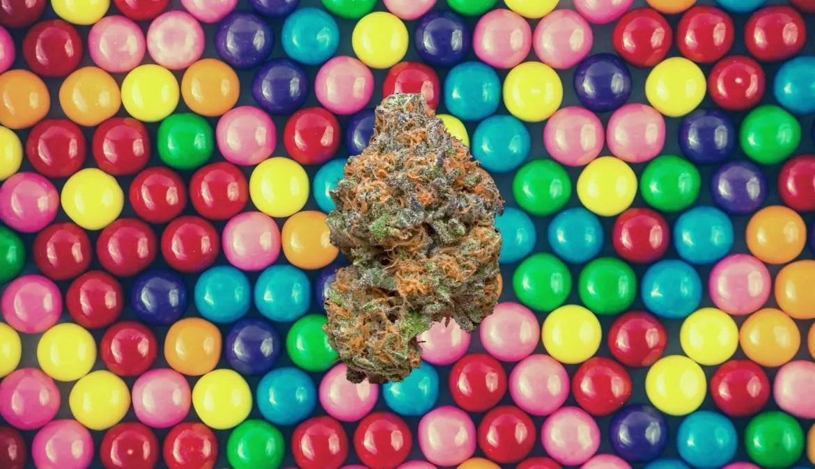 A cannabis strain hovers above a background of symmetrical gumballs