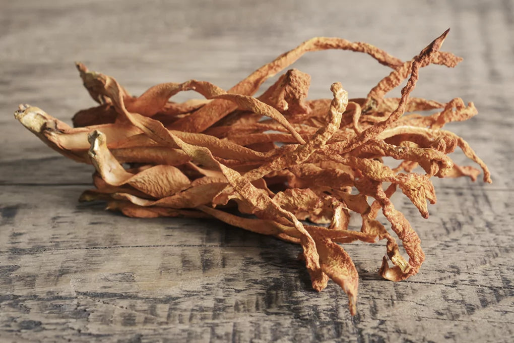 A cluster of dried cordyceps mushrooms sits on a wood surface.