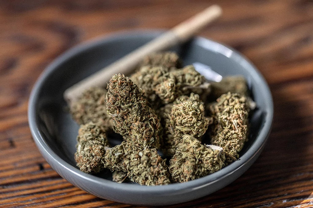 A Delta 8 preroll sits against the edge of a bowl filled with cannabis buds.