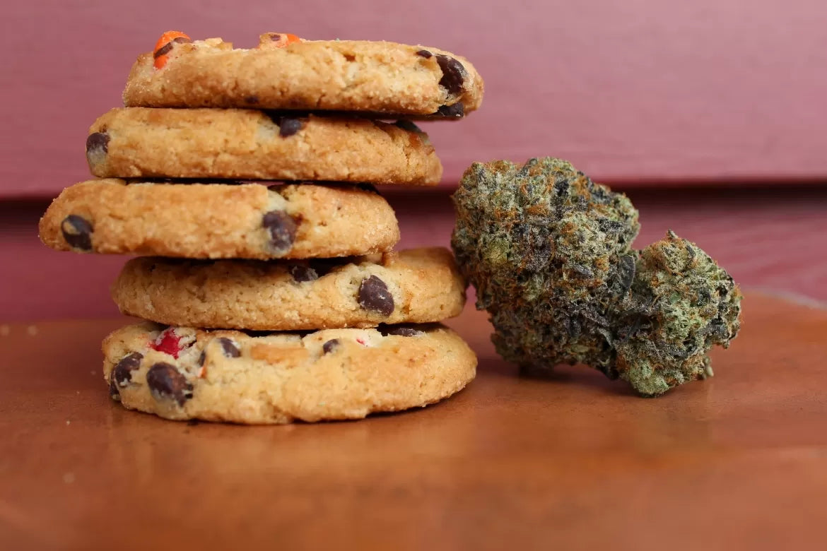 Hemp flower sits beside an appetizing pile of chocolate chip cookies