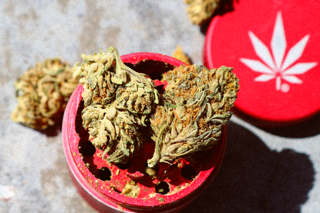 Two cannabis flowers are placed on a red grinder, with the grinder cap beside it on the floor