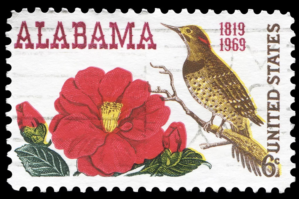 An image of a stamp from the state of Alabama, featuring the states flower, Camellia, and bird, the Northern Flicker.