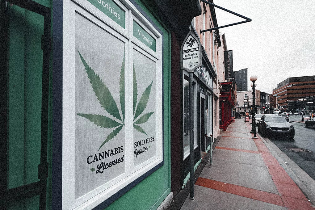 A licensed Cannabis retail shop on a busy street