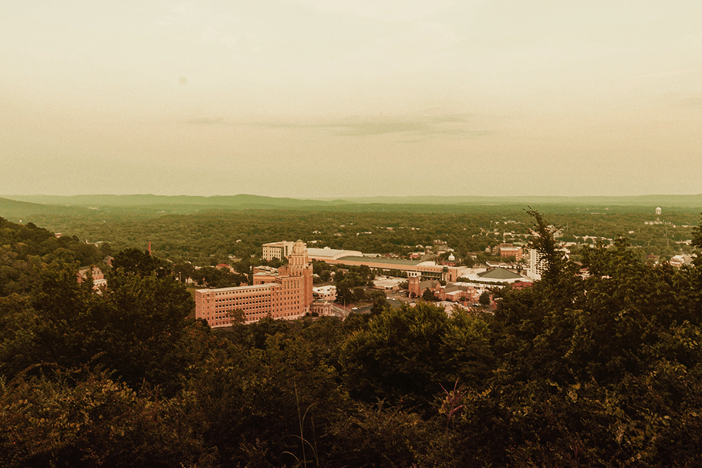 A view of Little Rock Arkansas from between the trees on a hillside.