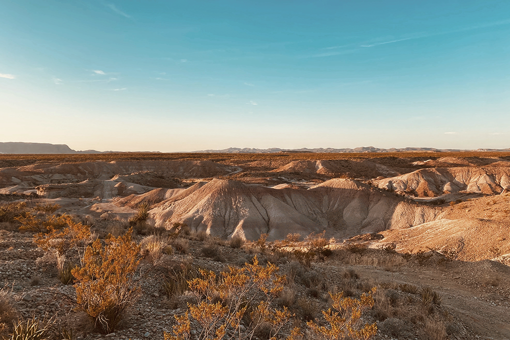 Vast desert landscape with distant mountains, desert plants, and a clear blue sky, showcasing the beauty of arid nature