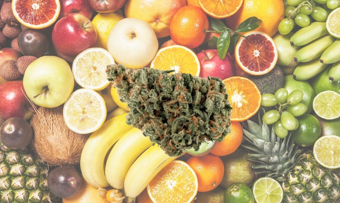 Juicy Fruit hemp strain